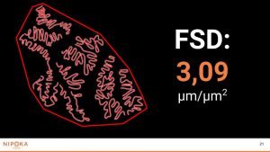 FMC Presentation (4)
